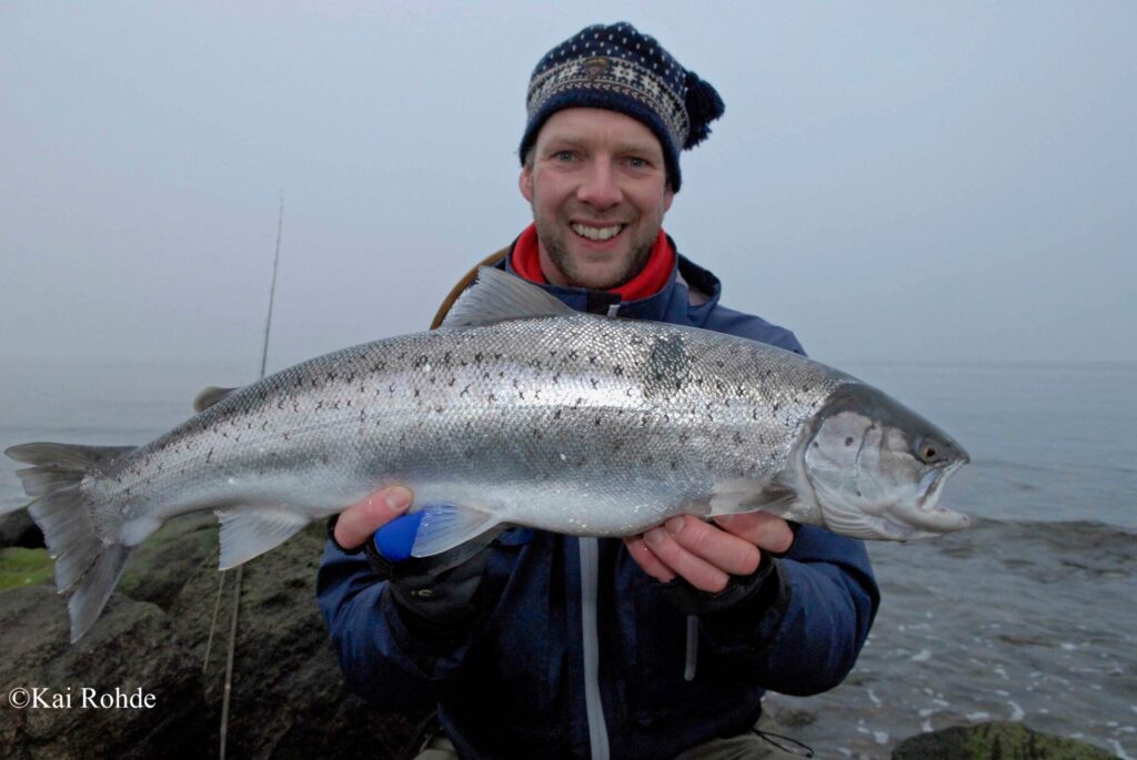 Meerforellen Zahltag