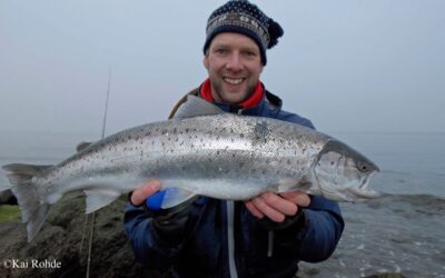 Meerforellen Zahltag