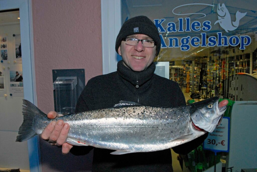 Meerforelle vom Boot