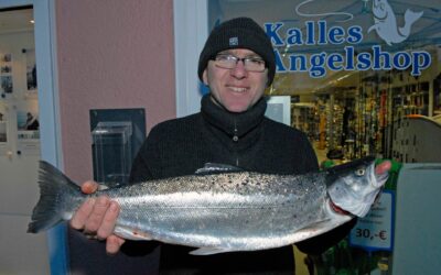 Meerforelle vom Boot