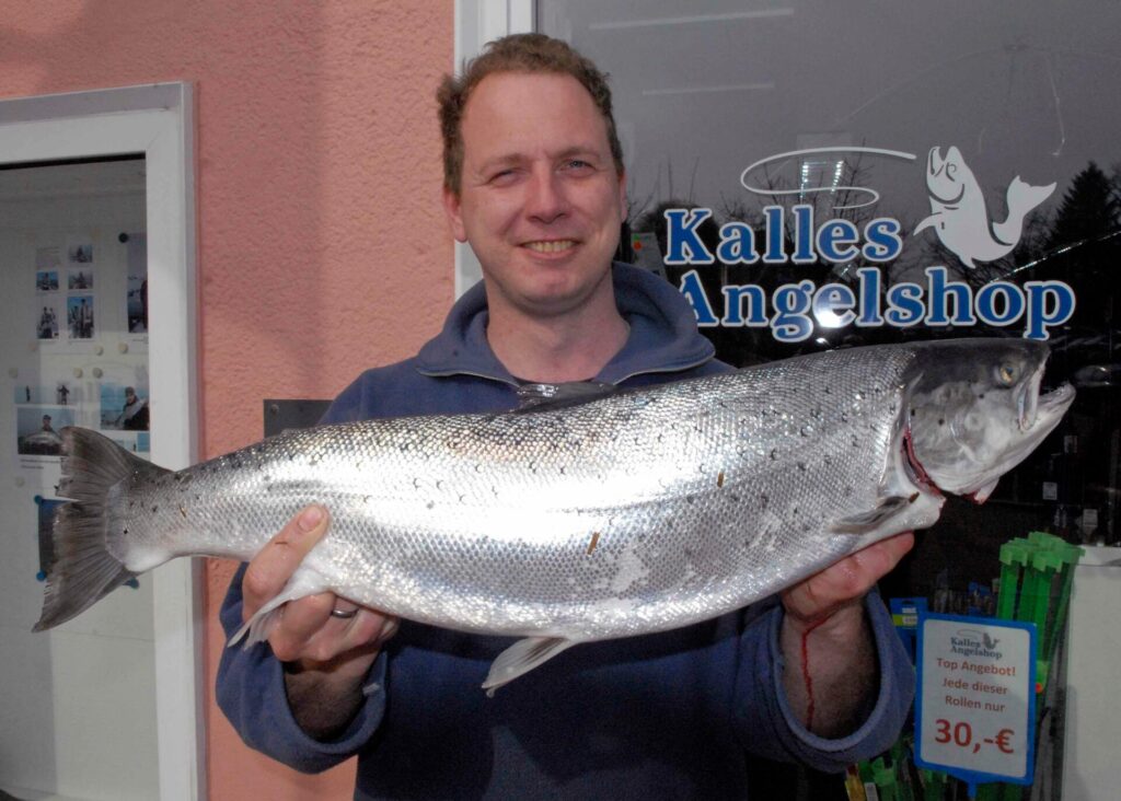 Meerforellen Fangbericht