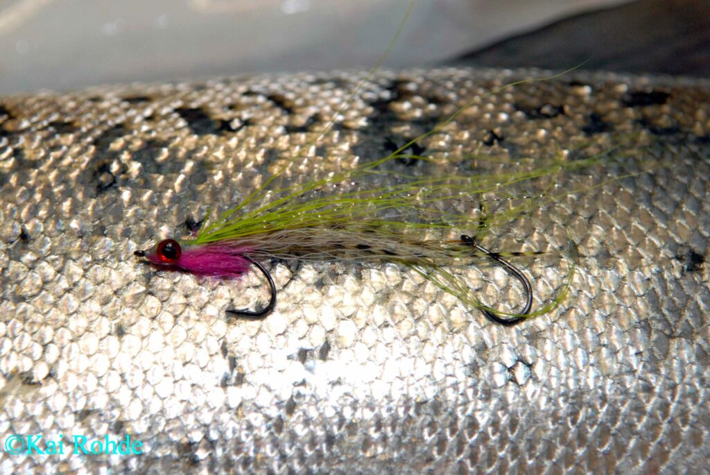 Nur wer ans Wasser geht kann auch Fische fangen.