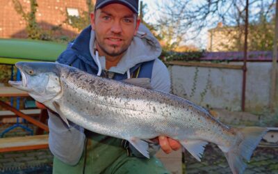 Pascal Traber fing am 28.01.2016 diese schöne Meerforelle von 73 cm und 3,6kg.