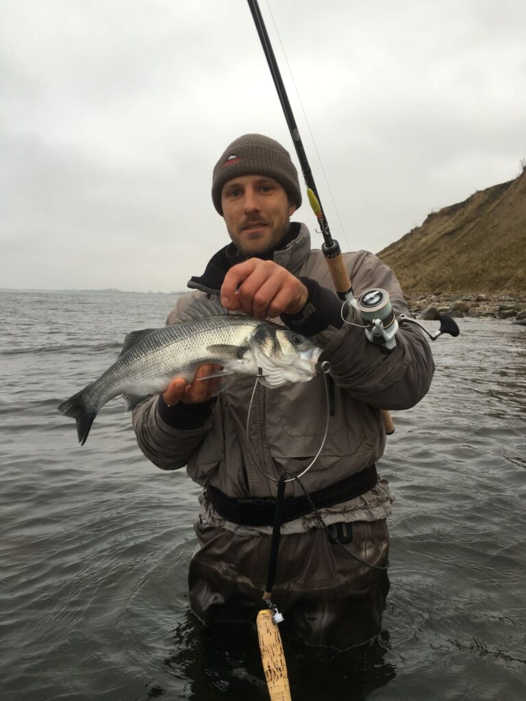 wolfsbarsch 48cm foto mario neske