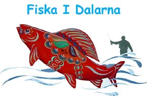 Mora (Dalarna) Reisebericht